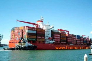 深圳、佛山、廣州至沙特利雅得國際貨運代理全攻略 一站式服務供應商與廠家選擇指南