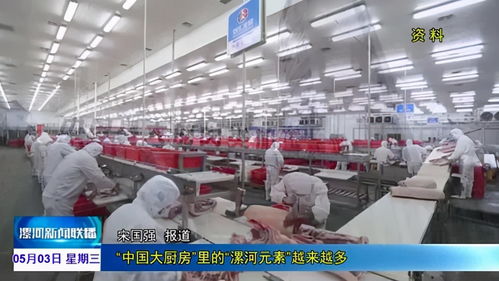 從快餐到奢侈 國(guó)際貨物運(yùn)輸如何讓垃圾食品變身高檔奢侈品